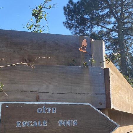 Escale Sous Les Pins Βίλα Salles  Εξωτερικό φωτογραφία